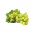 Green Grapes 500gm