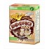 Nestlé Koko Krunch Duo Cereal Box 330 gm