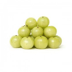 Amla (Amloki)