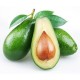 Avocado Fruit 600 gm