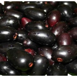 Kalo Jaam 500gm