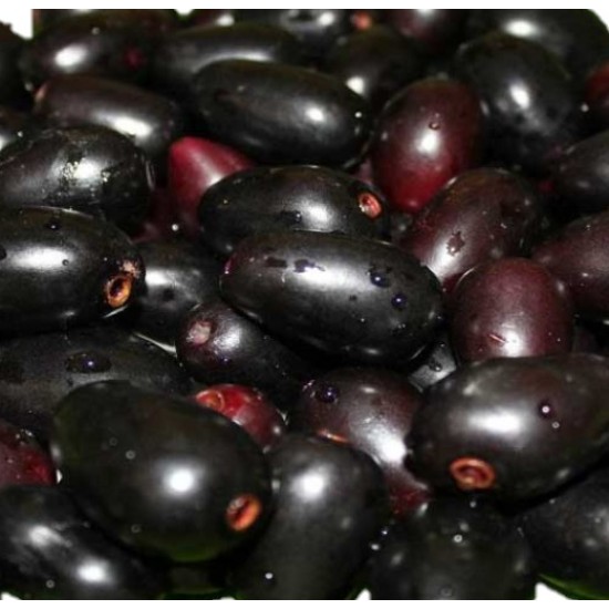 Kalo Jaam 500gm