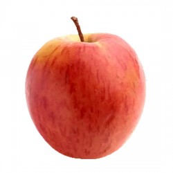 China Fuji Apple (Net Weight ± 50 gm) 1 kg