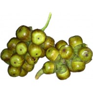 Taaler Shash/Daab (Palm Shoot) 1Pcs