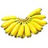 Chompa Banna 12 pcs