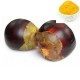 Smalll Plam Fruit (Paka-Tal) 1pcs