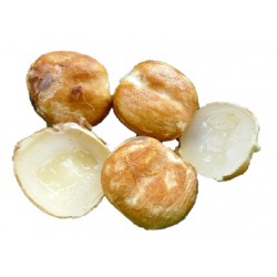 Taaler Shash/Daab (Palm Shoot) 1Pcs