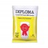 Diploma Full Cream Milk Powder 1Kg