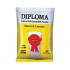 Diploma Full Cream Milk Powder 500gm