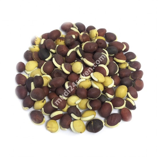 Deshi Shimer Bichi (Red) 1 kg