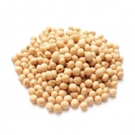 Soya bean Gota