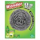 ACI Wonder Stainless Steel Scrubber 1pcs