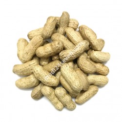 Peanut Raw Premium with Shell (Indian) 1 kg