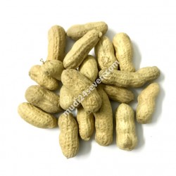 Peanut Raw Premium with Shell (China) 1 kg