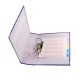 Hua Jie Ring File