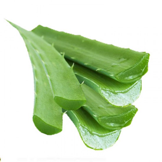 AloeVera 1pc