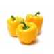 Capsicum Yellow (Net Weight ± 20 gm) 250 gm