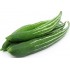 Snake Gourd 500 gm (Weight ± 20 gm)
