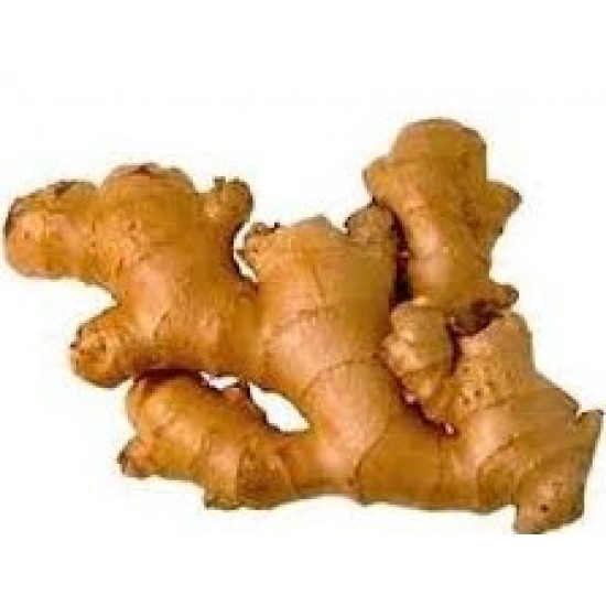 Ginger Local (Net Weight ± 10 gm) 500 gm