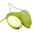 Kakrol - Teasel gourd 500gm