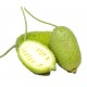 Kakrol - Teasel gourd 500gm