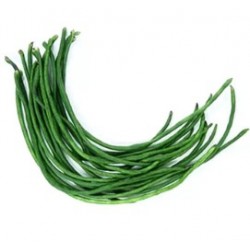 Long Bean 500gm