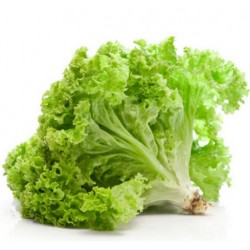 Lettuce Leaves 100 gm