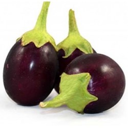 Round Brinjals Black (Net Weight ± 50 gm) 700 gm
