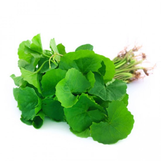 Thankuni Pata 1 bundle