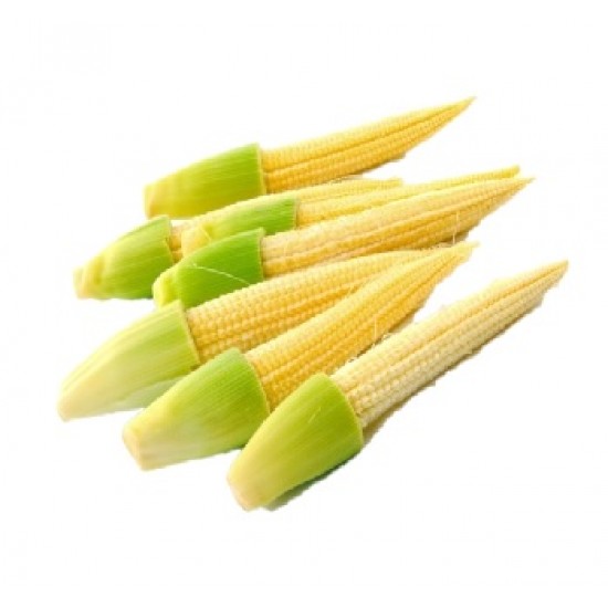 Baby Corn 1 packet 550 gm