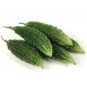 Bitter Gourd Long 500 gm (Weight ± 20 gm)