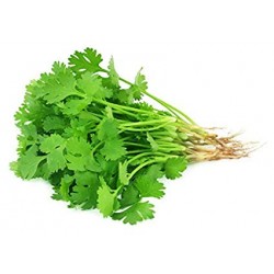 Coriander Leaves 100gm