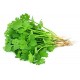 Coriander Leaves 100gm