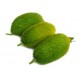 Kakrol - Teasel gourd 500gm