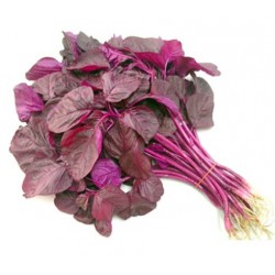 Red Spinach (1 Bundle/200gm)