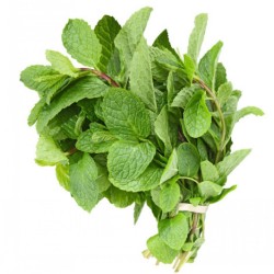 Mint Leaves 100 gm