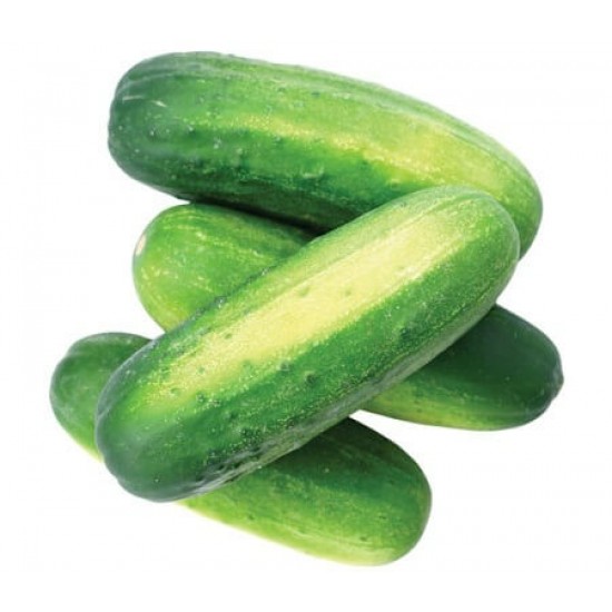 Cucumber (Net Weight ± 20 gm) 500 gm