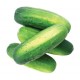 Cucumber (Net Weight ± 20 gm) 500 gm