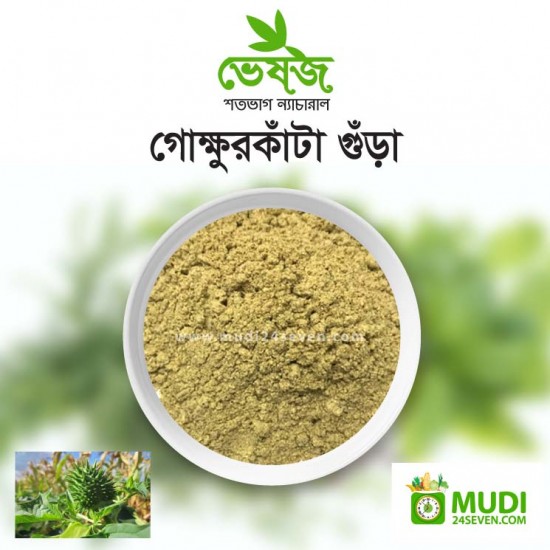 Gokhur Kata Powder 100 gm