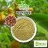 Bohera Powder 100 gm