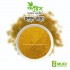 Turmeric Powder (Regular) 100 gm