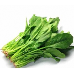 Spinach (1 Bundle/250gm)